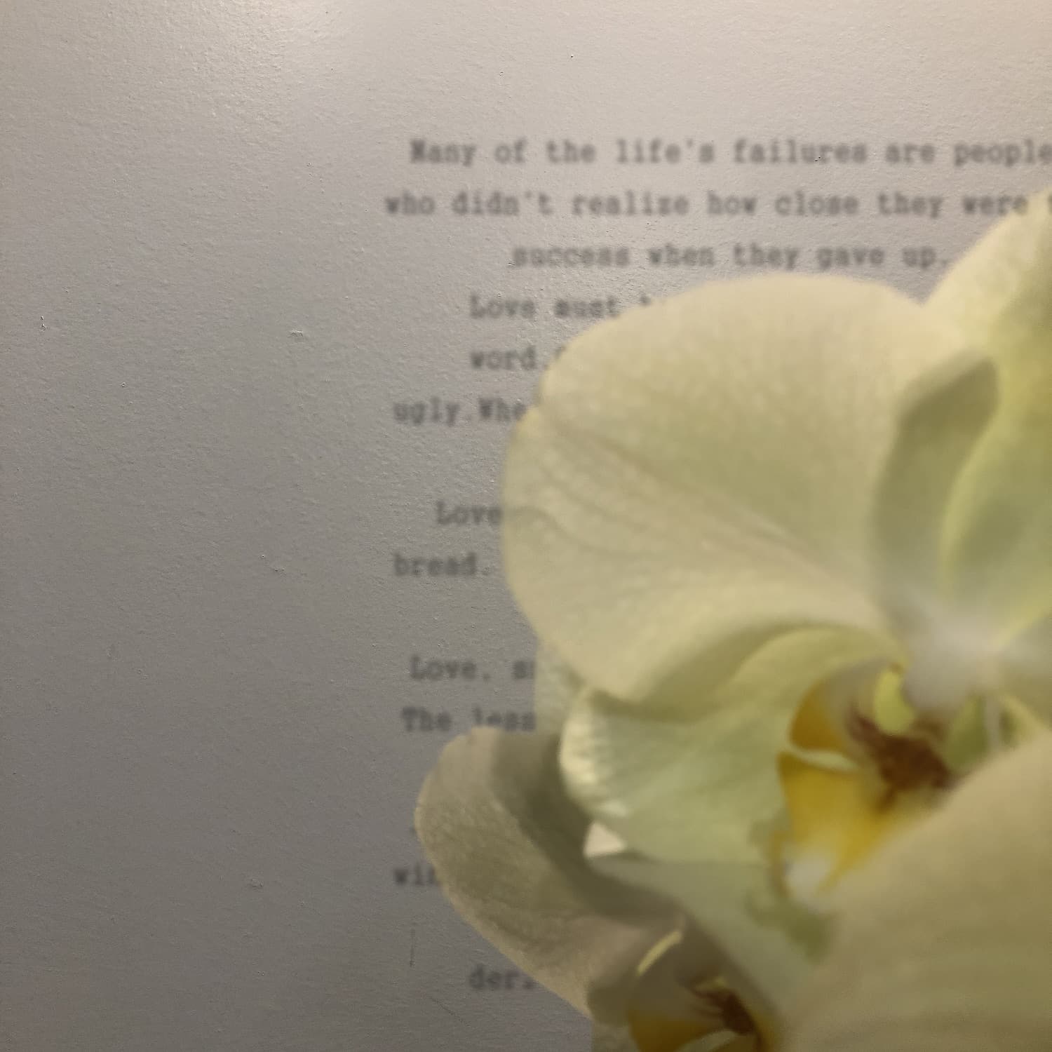 Lyric cover art