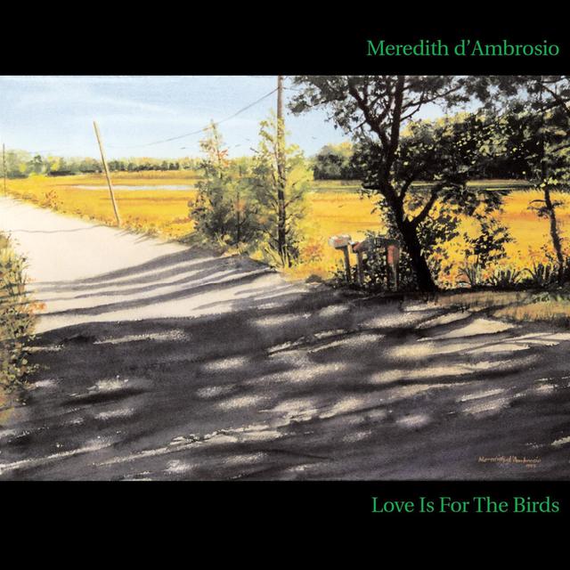 Album cover art for Love Is For The Birds