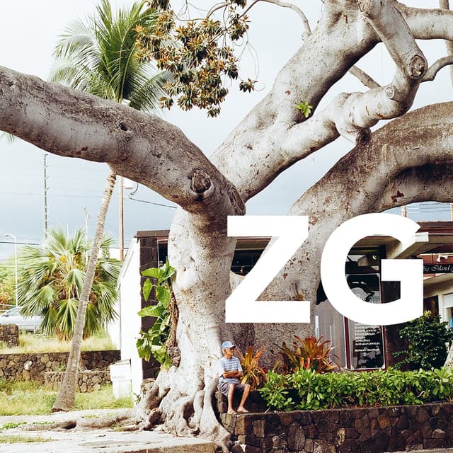 Album cover art for ZG