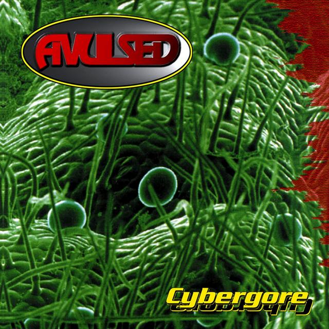 Album cover art for Cybergore