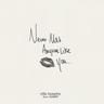 Never Met Anyone Like You