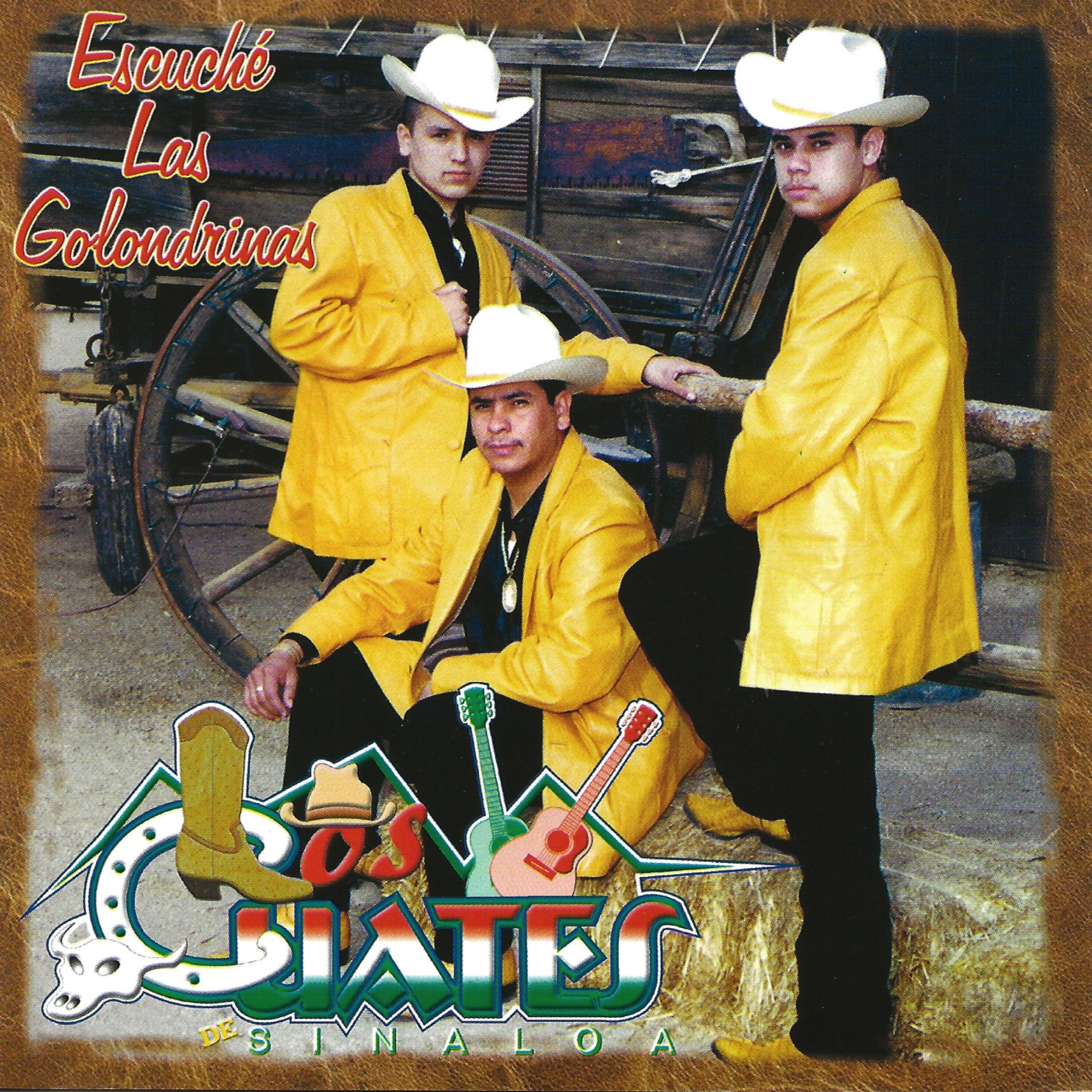 Escuche Las Golondrinas