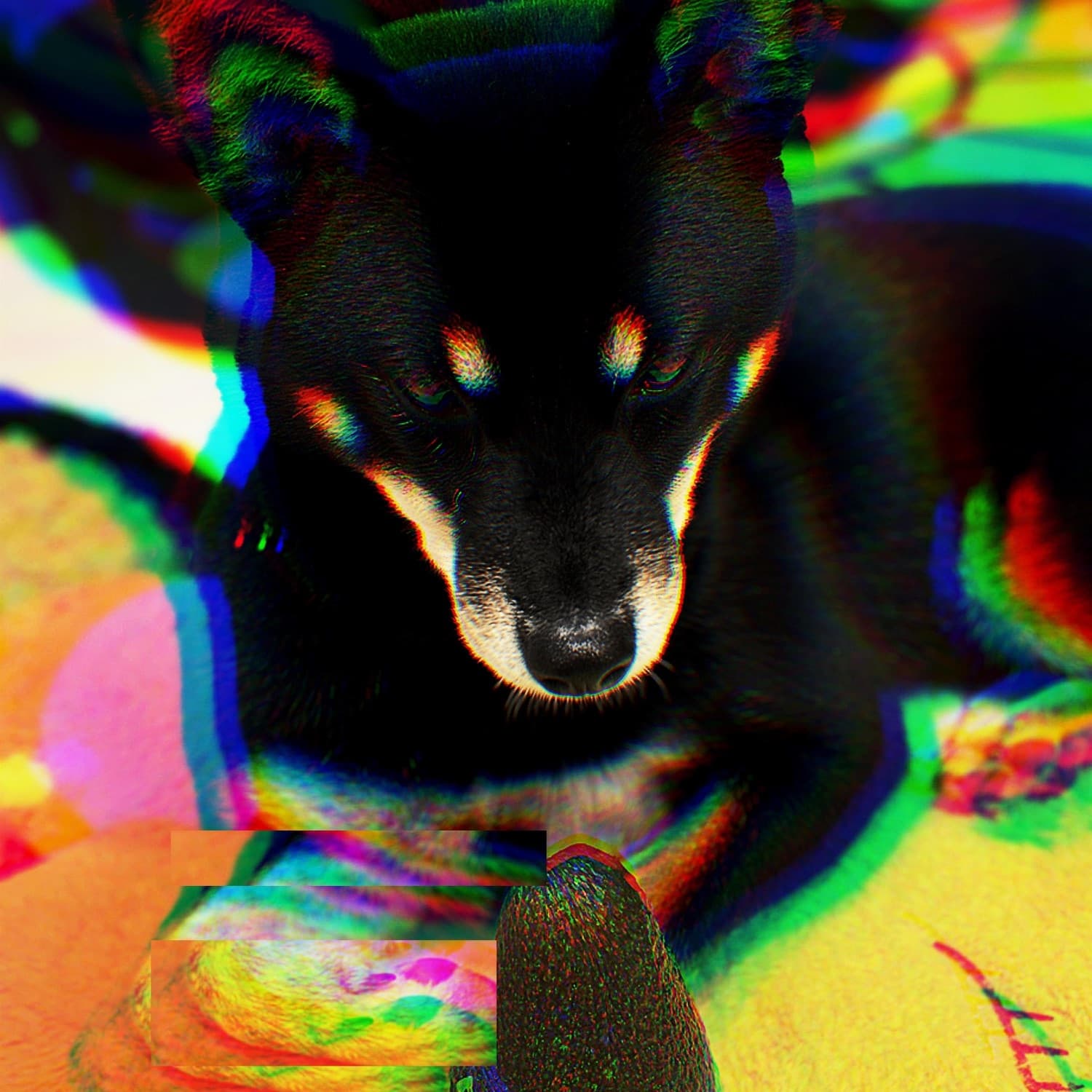 Lyric cover art