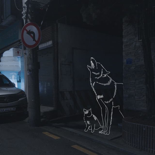 Album cover art for Nocturnal