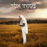 צעקתי אליך