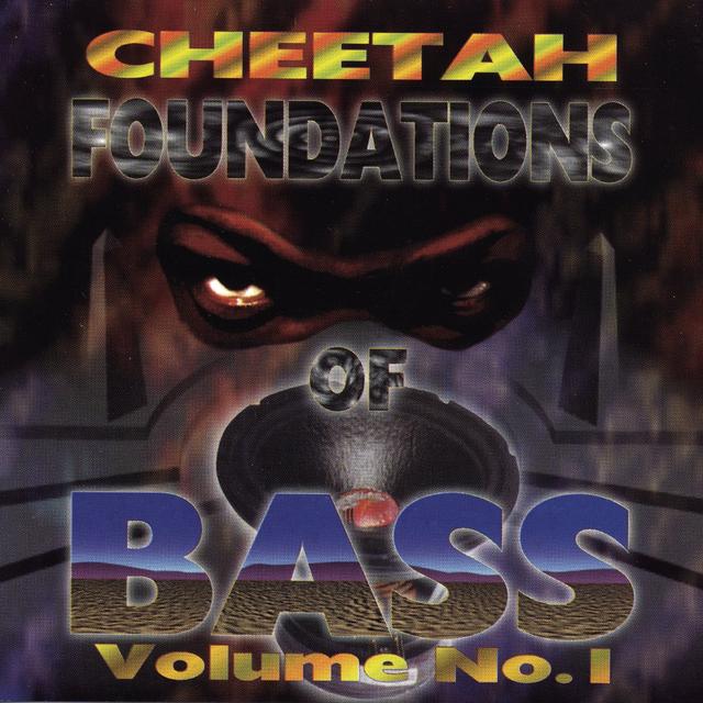 Album cover art for Foundations of Bass, Vol. 1