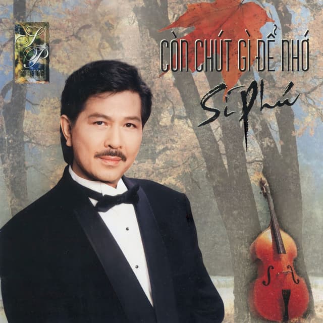 Album cover art for Còn chút gì để nhớ