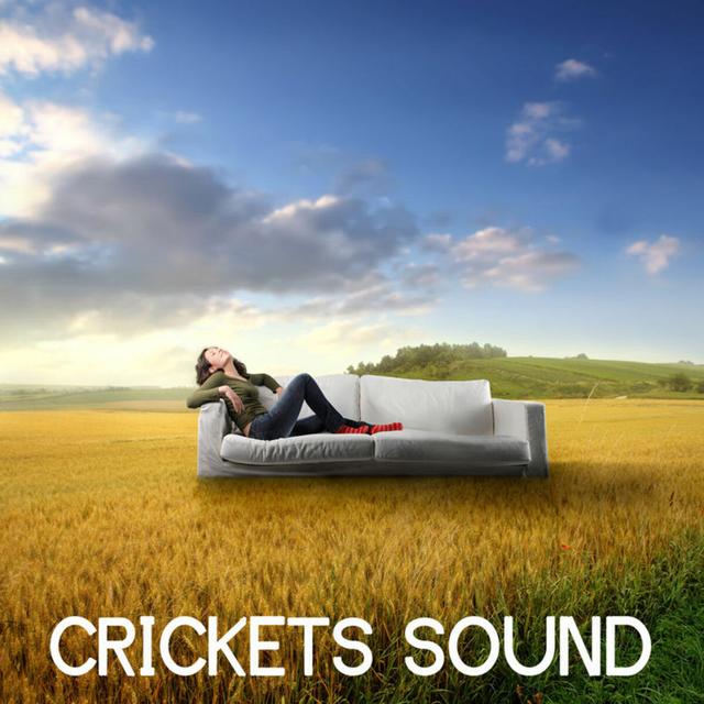 Album cover art for Crikets Sound And Nature Sound: Nature Music And Sound Of Nature For Relaxation And Meditation