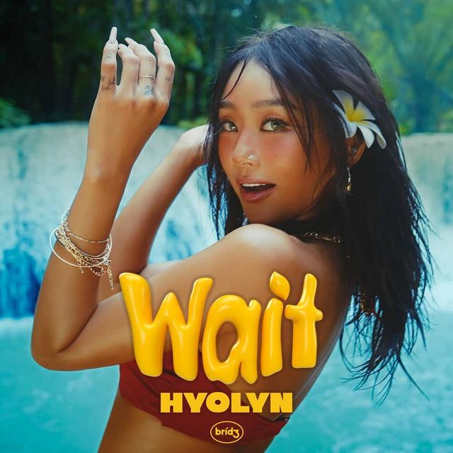 Album cover art for Wait