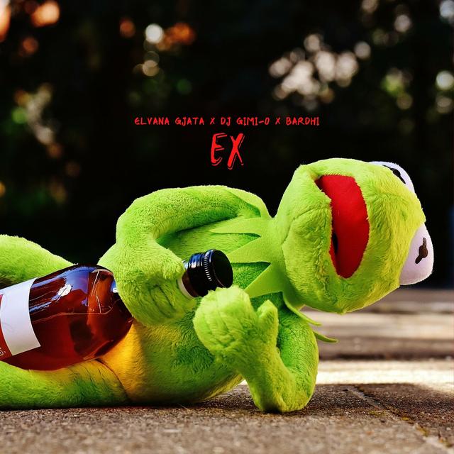 Album cover art for Ex