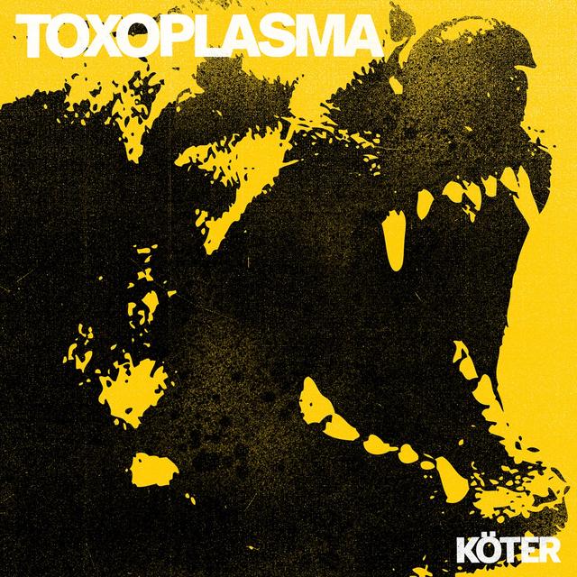 Album cover art for Köter