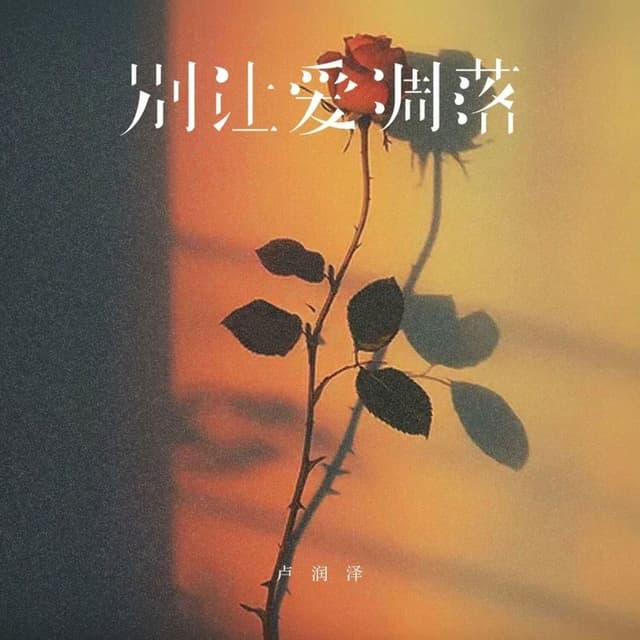 Album cover art for 别让爱凋落 (Djlhn版)