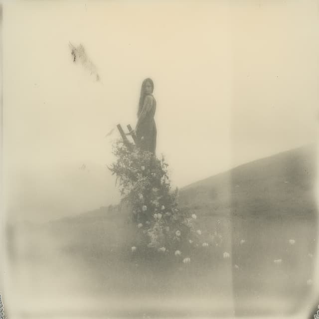 Album cover art for Nara