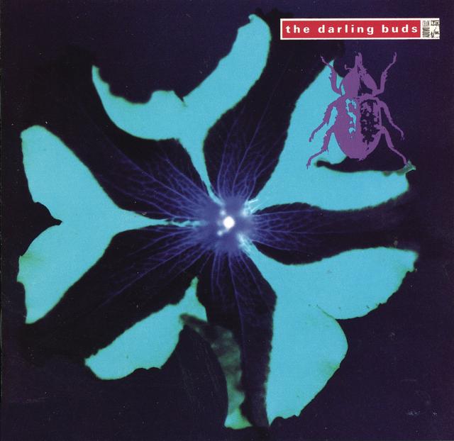 Album cover art for Crawdaddy