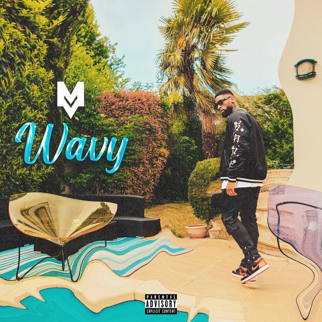 Album cover art for Wavy