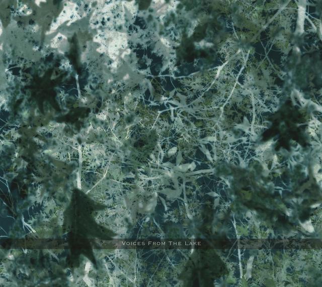 Album cover art for Voices From The Lake