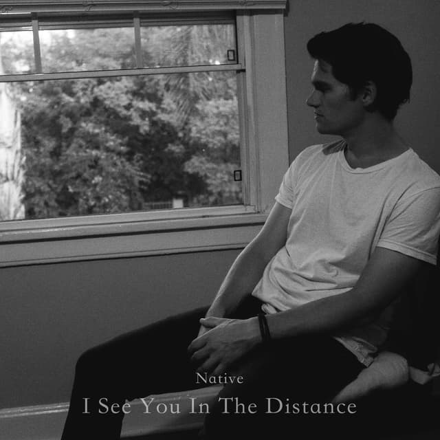 Album cover art for I See You in the Distance