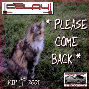 Album cover art for Please Come Back