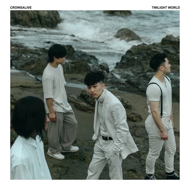 Album cover art for Twilight World