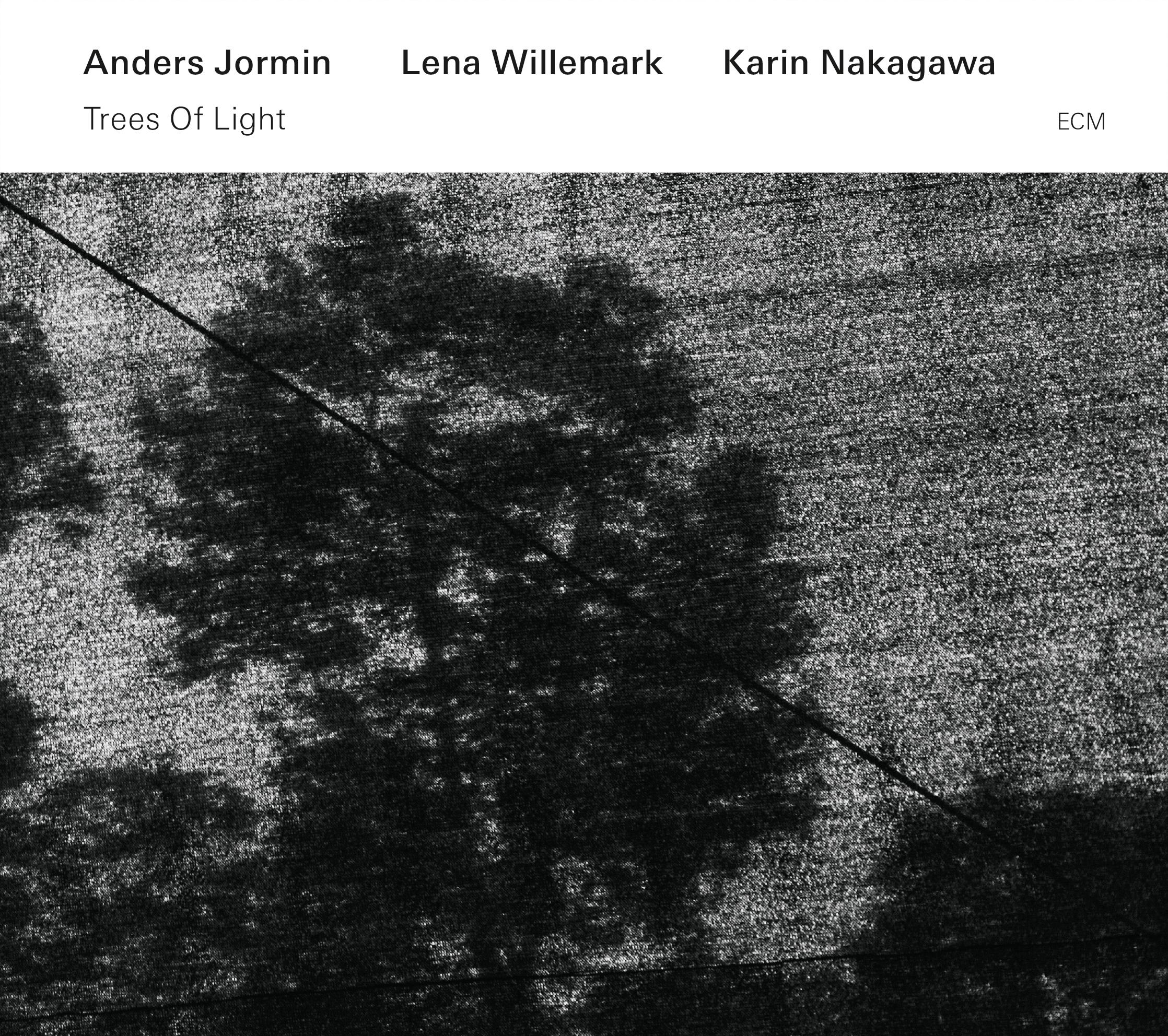 Trees of Light