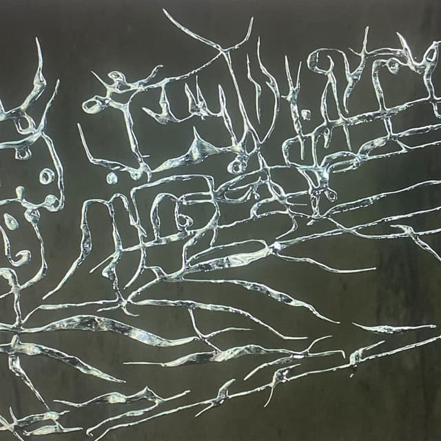 Album cover art for Nouveau Langage