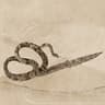 The Serpent
