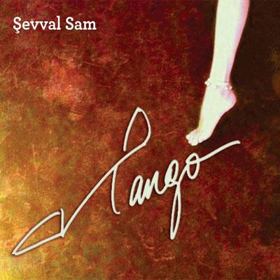 Album cover art for Tango