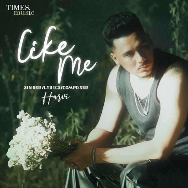 Album cover art for Like Me