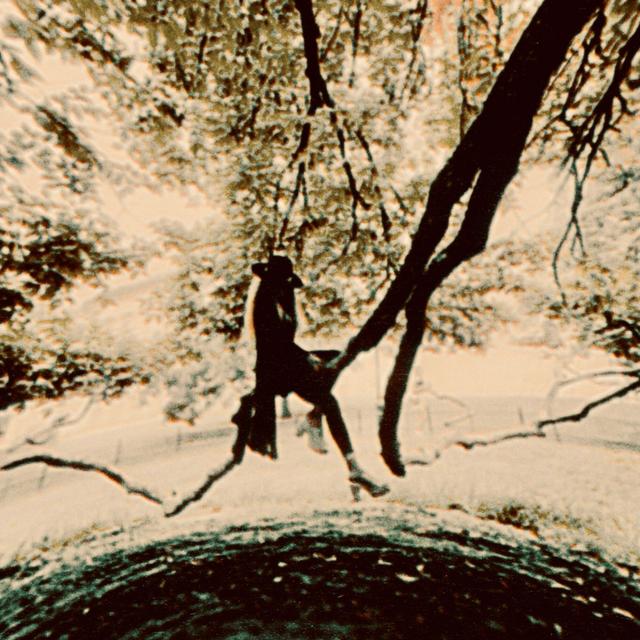 Album cover art for Seasons