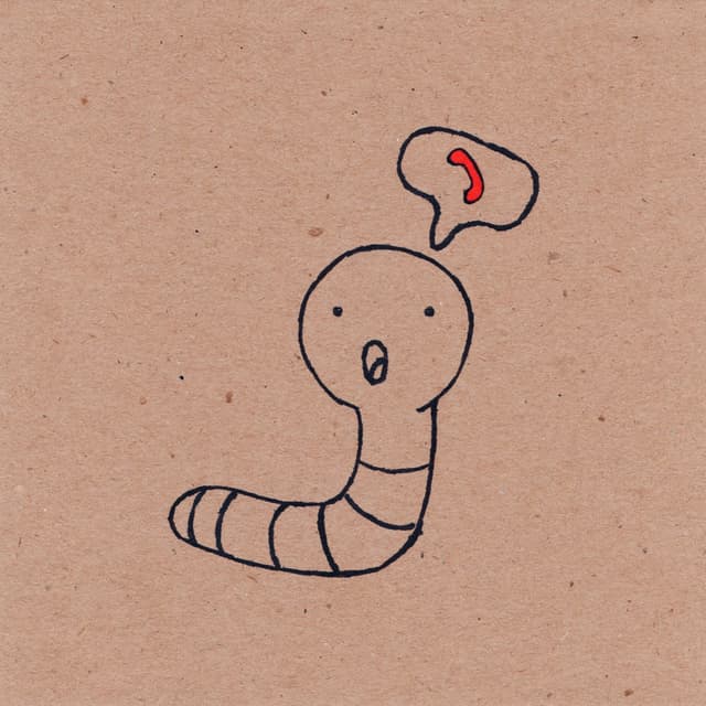 Album cover art for Piiita