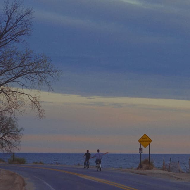 Album cover art for Too Much, Too Soon
