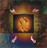 Album cover art for Gold Is The Metal