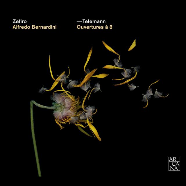 Album cover art for Telemann: Ouvertures à 8