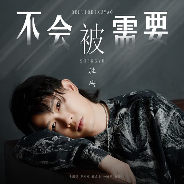 Album cover art for 不会被需要