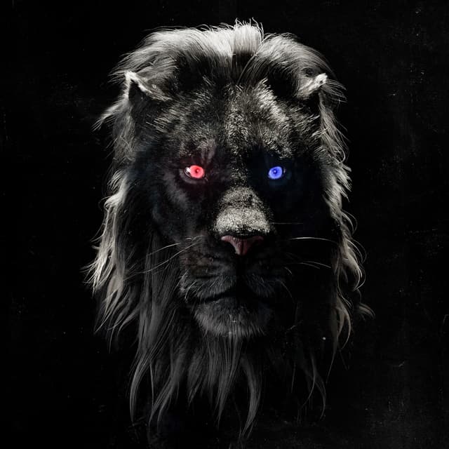 Album cover art for Afterparty