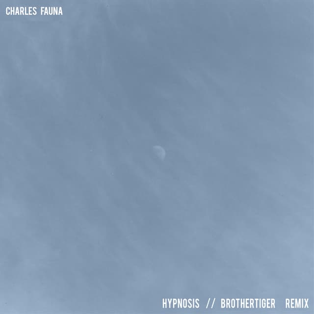 Album cover art for Hypnosis (Brothertiger Remix)