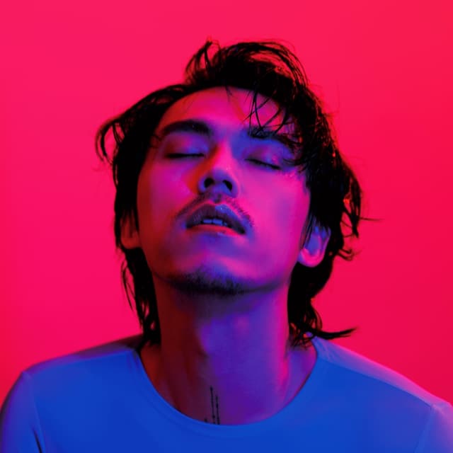 Album cover art for 娱乐自己