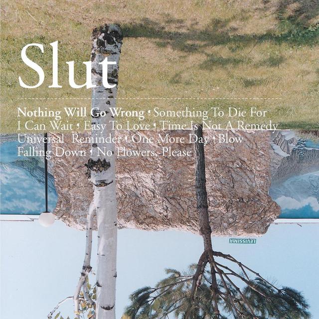Album cover art for Nothing Will Go Wrong