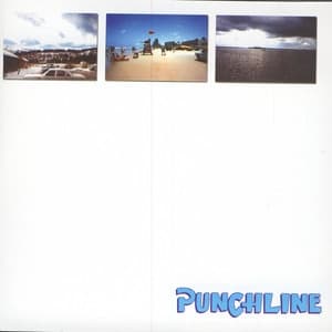 Album cover art for Punchline