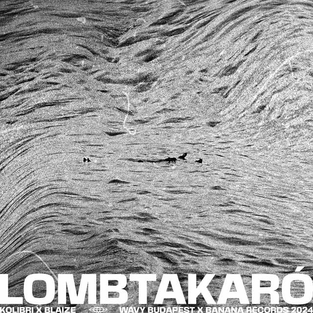 Album cover art for Lombtakaró