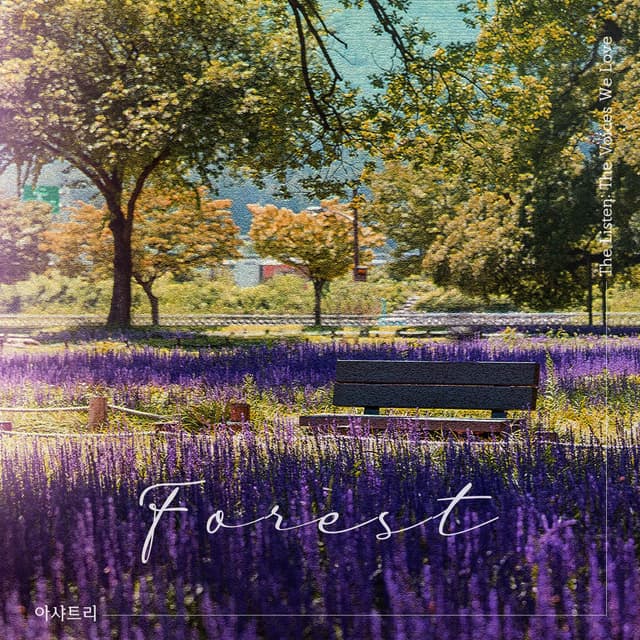 Album cover art for Forest