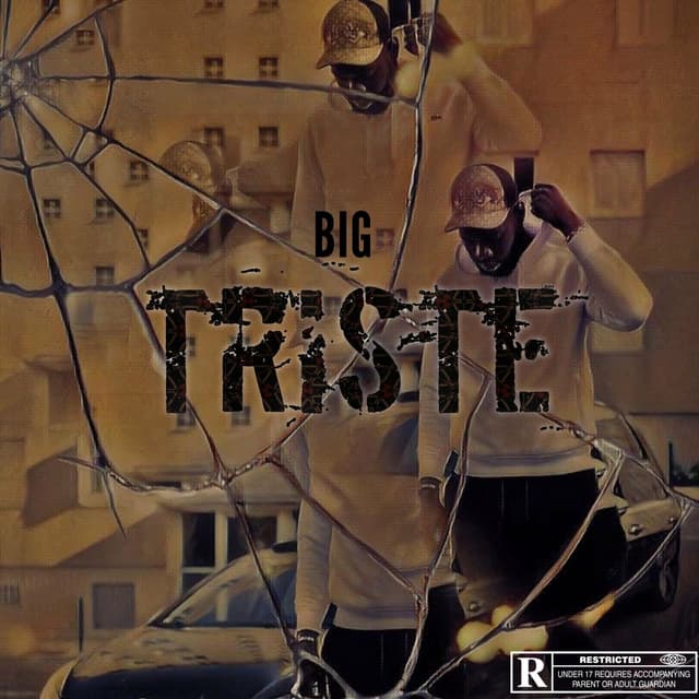 Album cover art for Triste