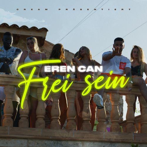 Album cover art for Frei sein