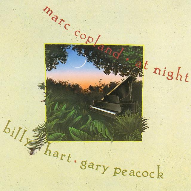 Album cover art for At Night