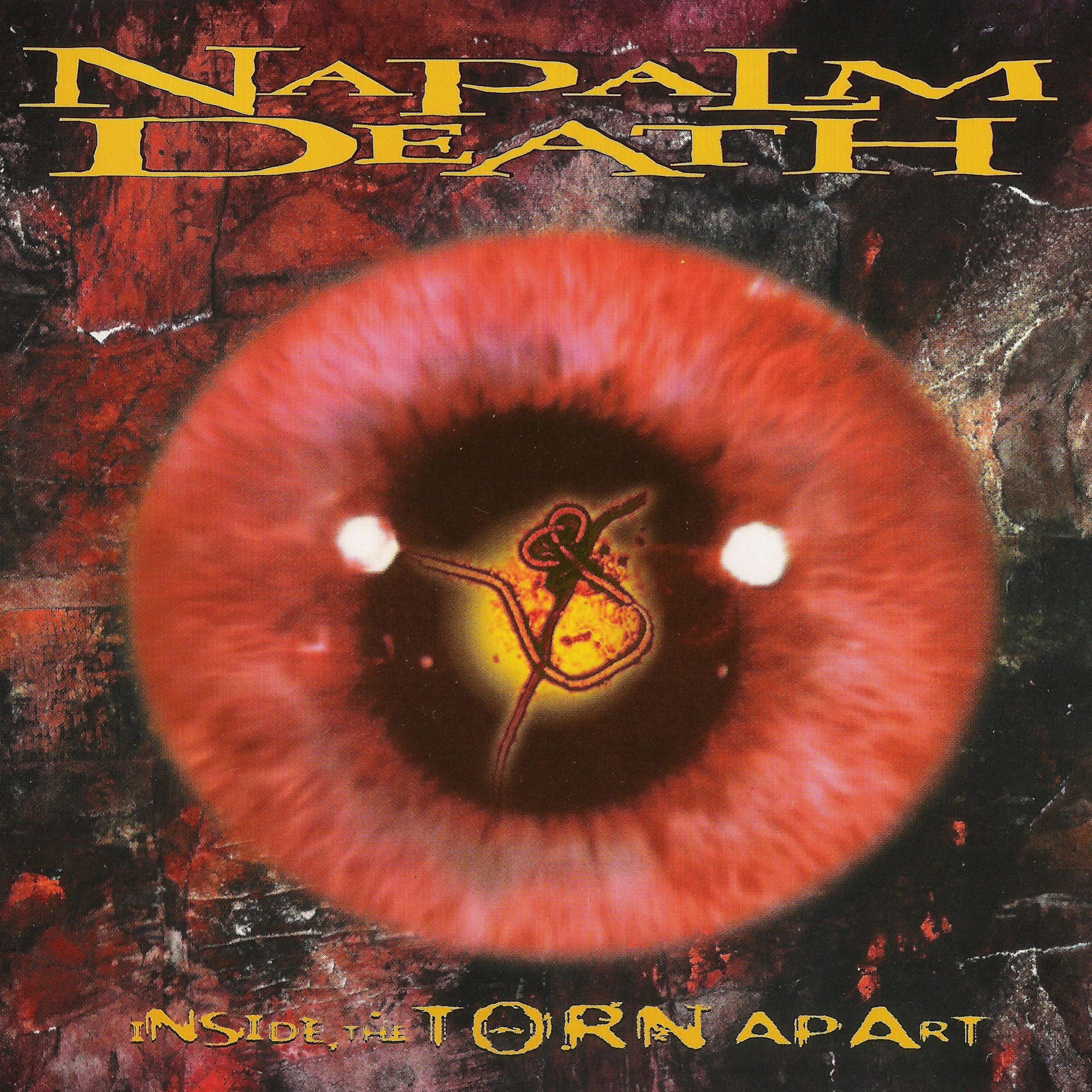 Inside the Torn Apart