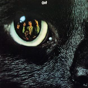Album cover art for Cat