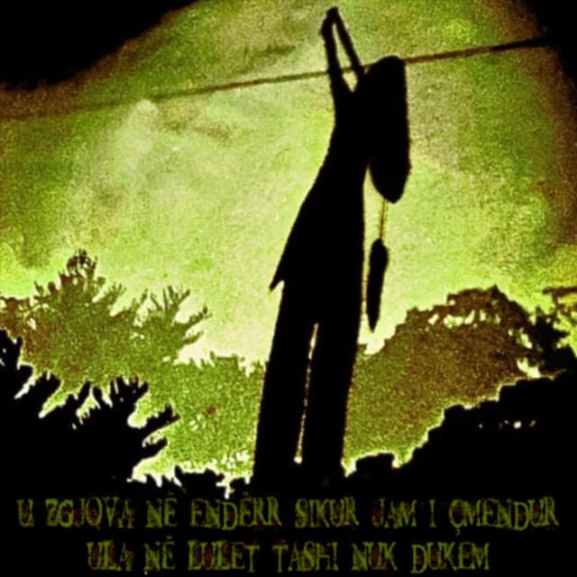 Album cover art for çmendur_v666