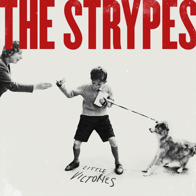 Album cover art for Little Victories