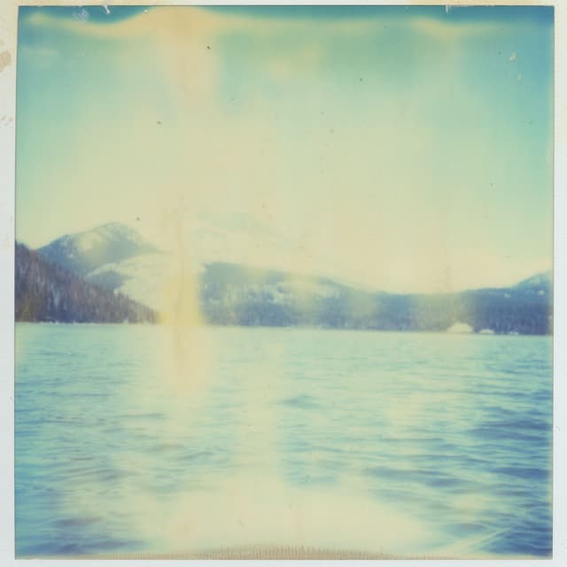 Album cover art for Scotland, I Wish You Had Stayed.