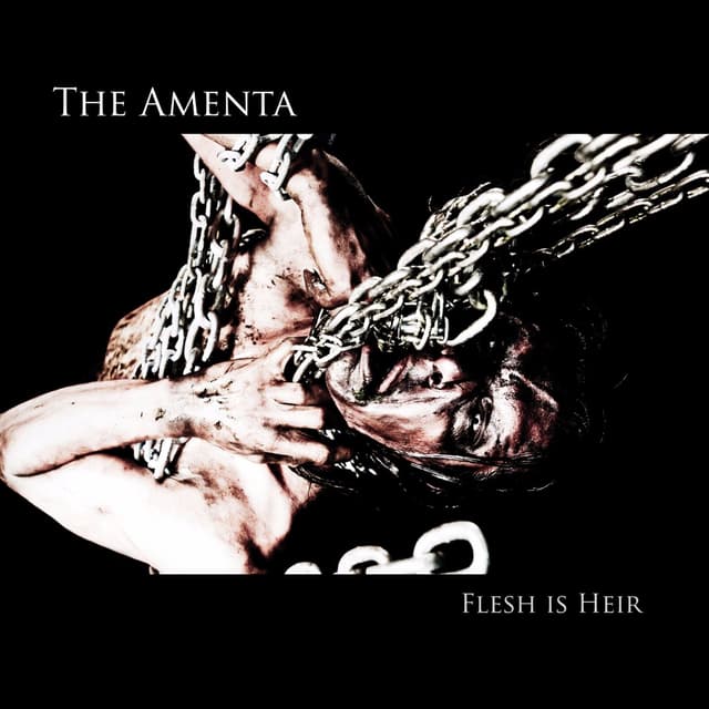 Album cover art for Flesh Is Heir
